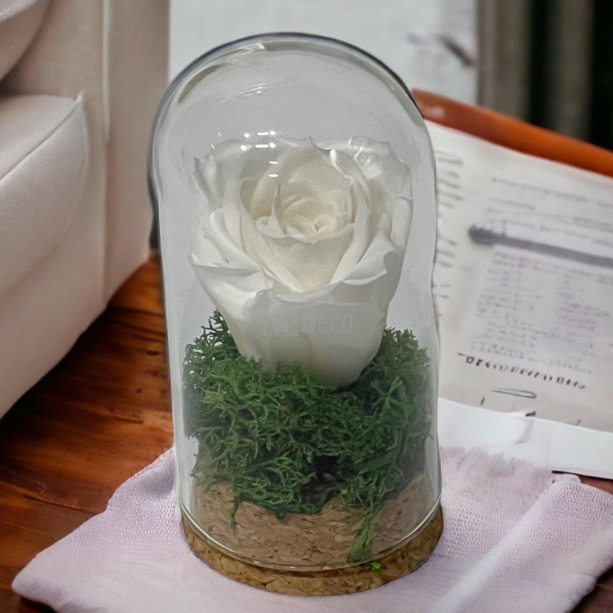 Trandafir Criogenat alb in cupola mica 5x9,5cm (marturie)-Kdeco.ro