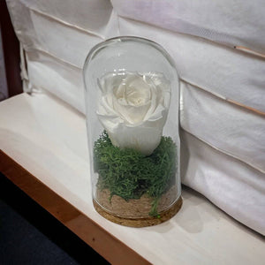 Trandafir Criogenat alb in cupola mica 5x9,5cm (marturie)-Kdeco.ro