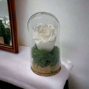 Trandafir Criogenat alb in cupola mica 5x9,5cm (marturie)-Kdeco.ro
