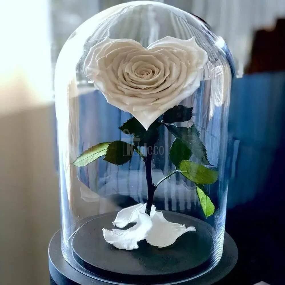 Trandafir Criogenat Alb în Formă de Inimă în Cupola de Sticlă - Cadou Memorabil Ø9cm - Kdeco.ro