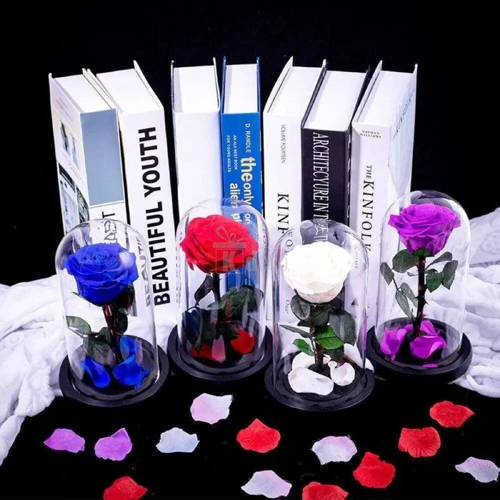 Trandafir Criogenat Alb Premium Ø8cm în Cupolă de Sticlă 12x25cm - Cadou Elegant și Durabil - Kdeco.ro