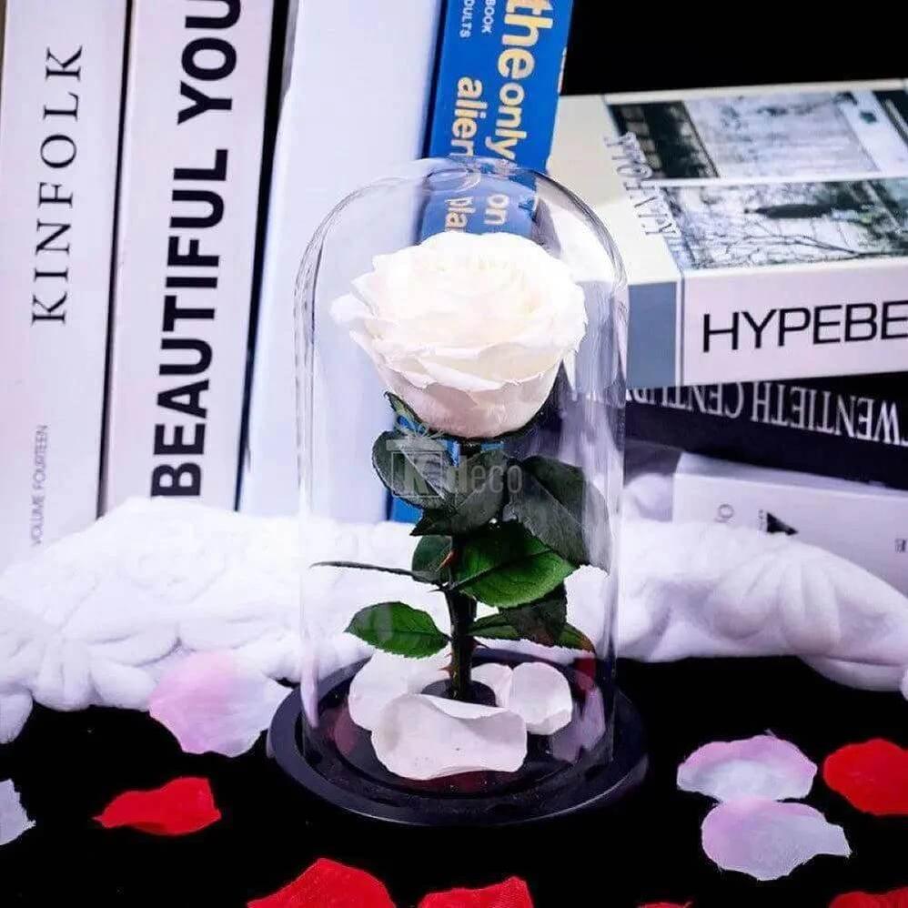 Trandafir Criogenat Alb Premium Ø8cm în Cupolă de Sticlă 12x25cm - Cadou Elegant și Durabil - Kdeco.ro