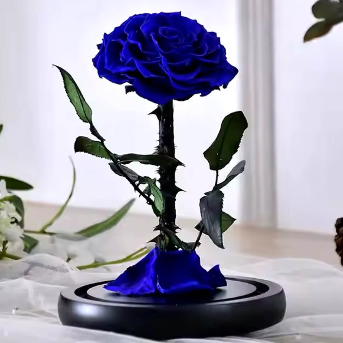 Trandafir Criogenat Albastru Bonita fără cupolă, pe suport negru, ideal pentru cadouri personalizate și aranjamente florale deosebite.