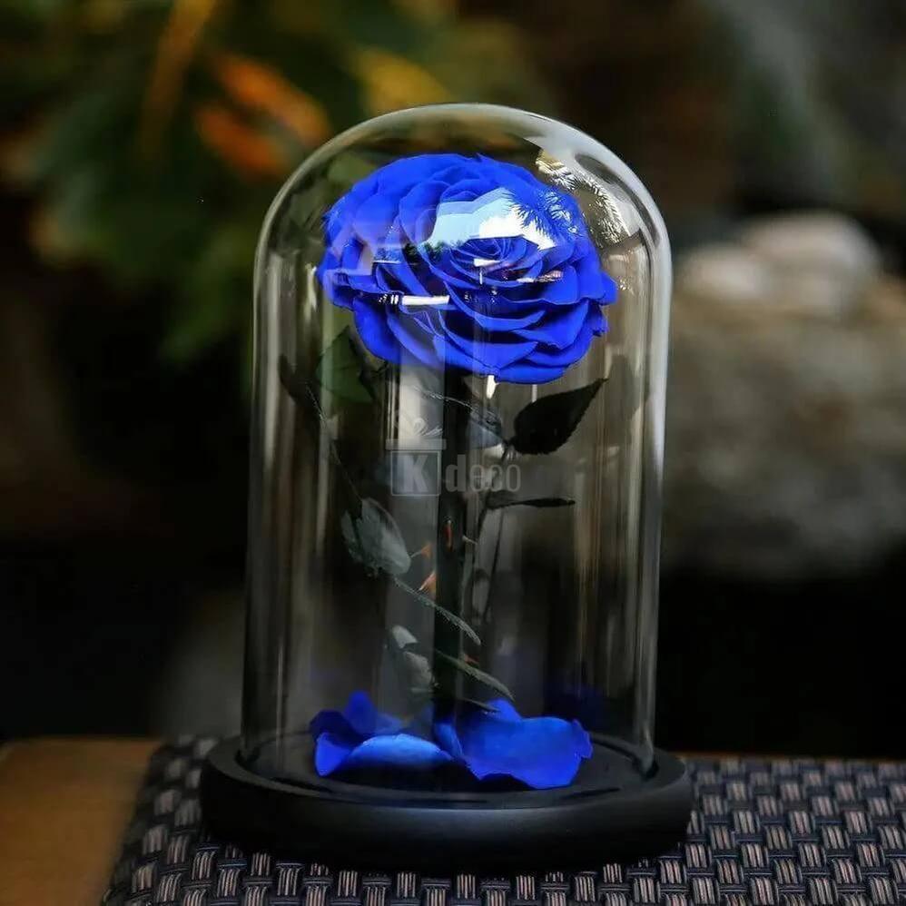 Trandafir Criogenat Albastru Mare Ø9,5cm cu Cupolă de Sticlă - Kdeco.ro