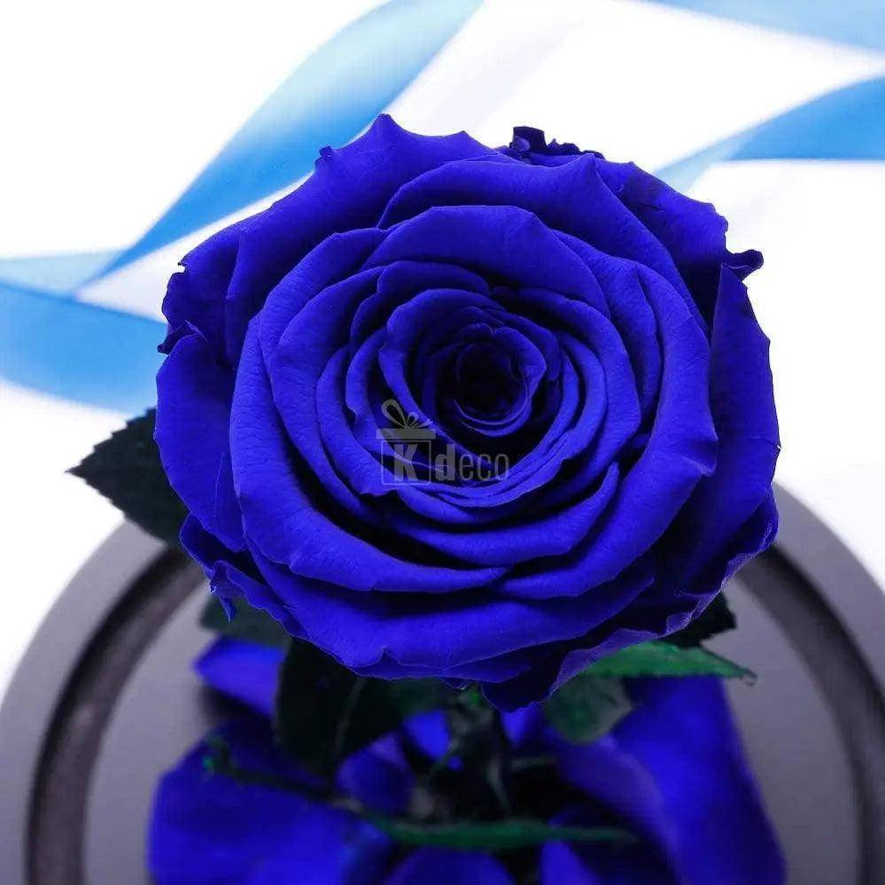 Trandafir Criogenat albastru Ø6,5cm in cupola sticla 10x20cm - Kdeco