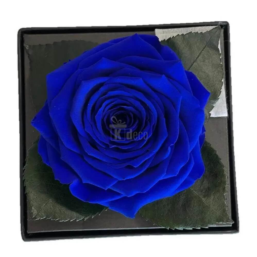 Trandafir Criogenat Albastru Ø7 - 8cm în Cutie Cadou Elegantă 10x10x11cm - Kdeco.ro