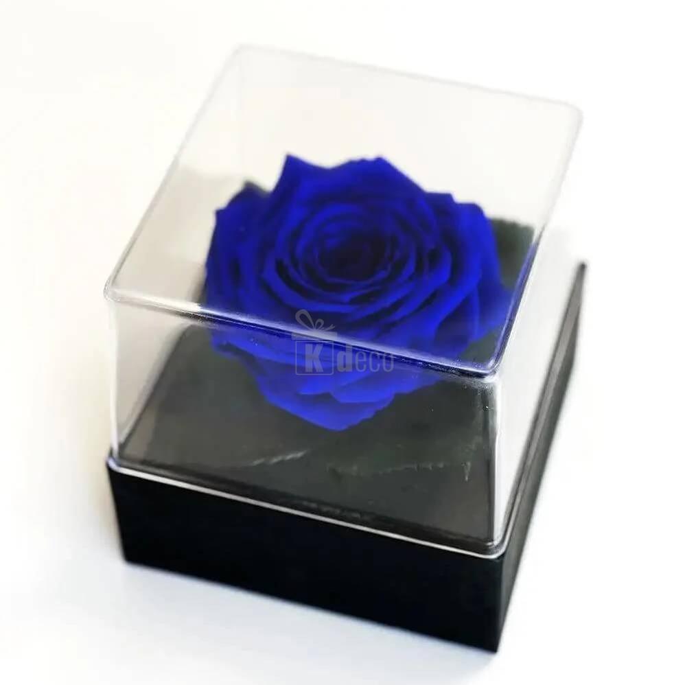 Trandafir Criogenat Albastru Ø7 - 8cm în Cutie Cadou Elegantă 10x10x11cm - Kdeco.ro