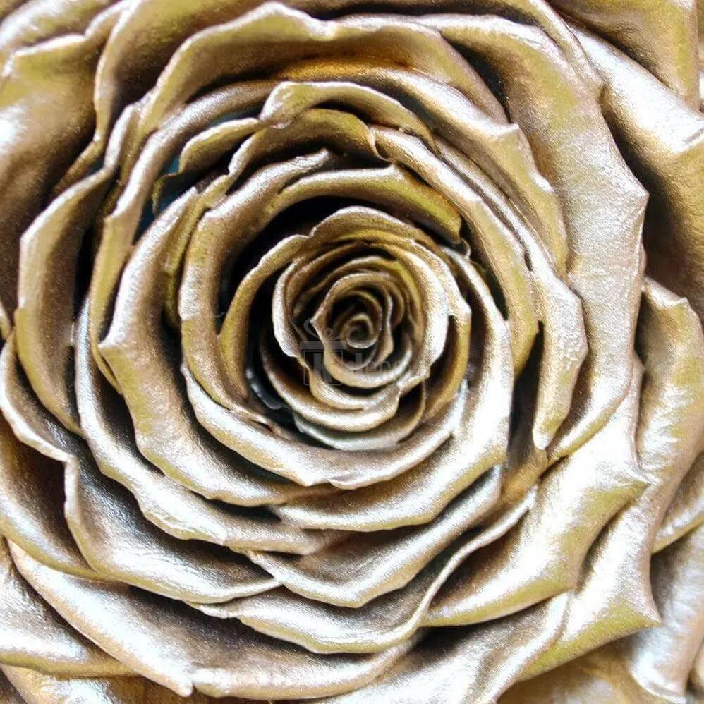 Trandafir Criogenat Auriu XXL în Cupola Elegantă de Sticlă Ø9,5cm - Cadou Nemuritor - Kdeco.ro