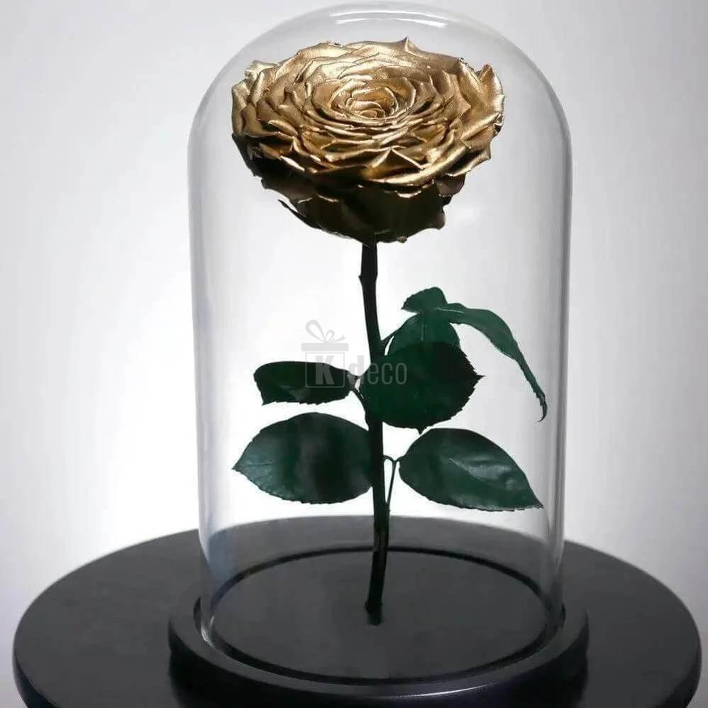Trandafir Criogenat Auriu XXL în Cupola Elegantă de Sticlă Ø9,5cm - Cadou Nemuritor - Kdeco.ro