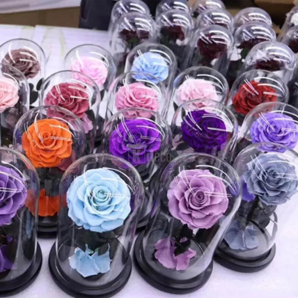 Trandafir Criogenat Bella Ciclam în Cupolă de Sticlă Ø8cm - Cadou Elegant 10x20cm - Kdeco.ro