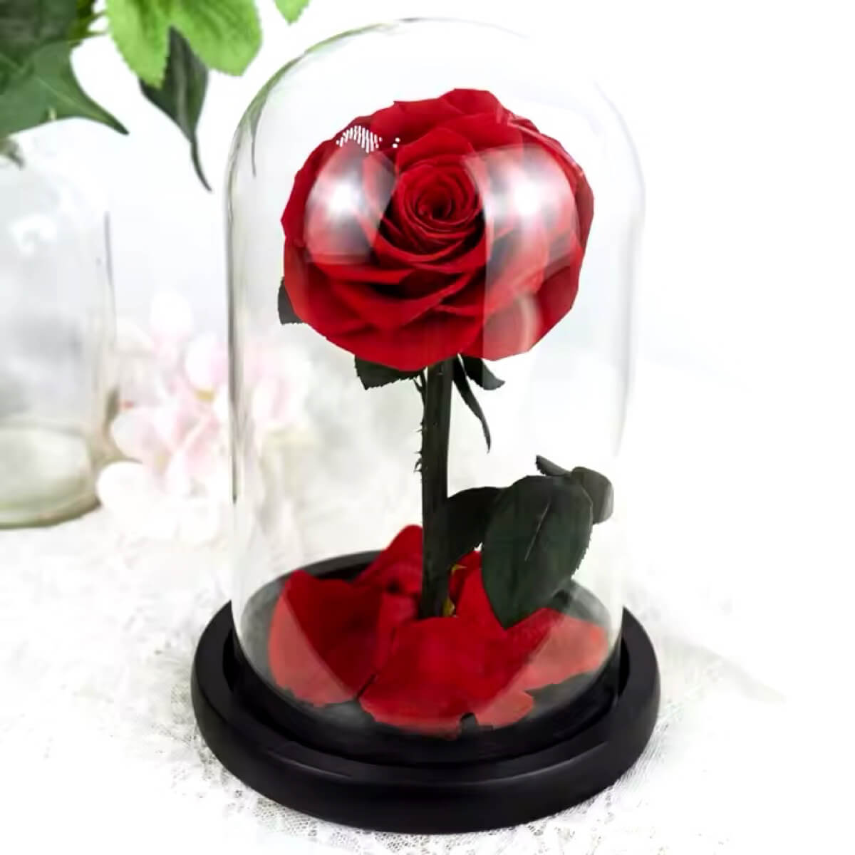 Aranjament floral cu trandafir criogenat roșu în cupolă de sticlă, cadou elegant și durabil pentru femei, perfect pentru ocazii festive.