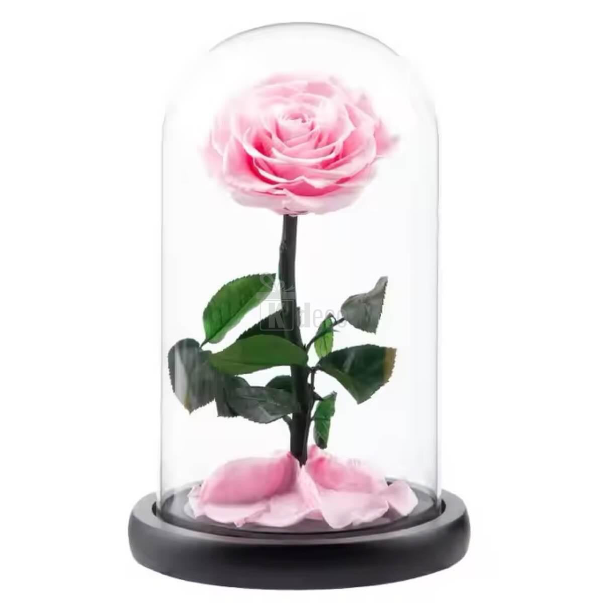 Trandafir Criogenat Bella Roz Ø7-8cm în cupolă de sticlă 10x20cm, decor cadou elegant cu mesaj personalizat, ideal pentru aniversări.