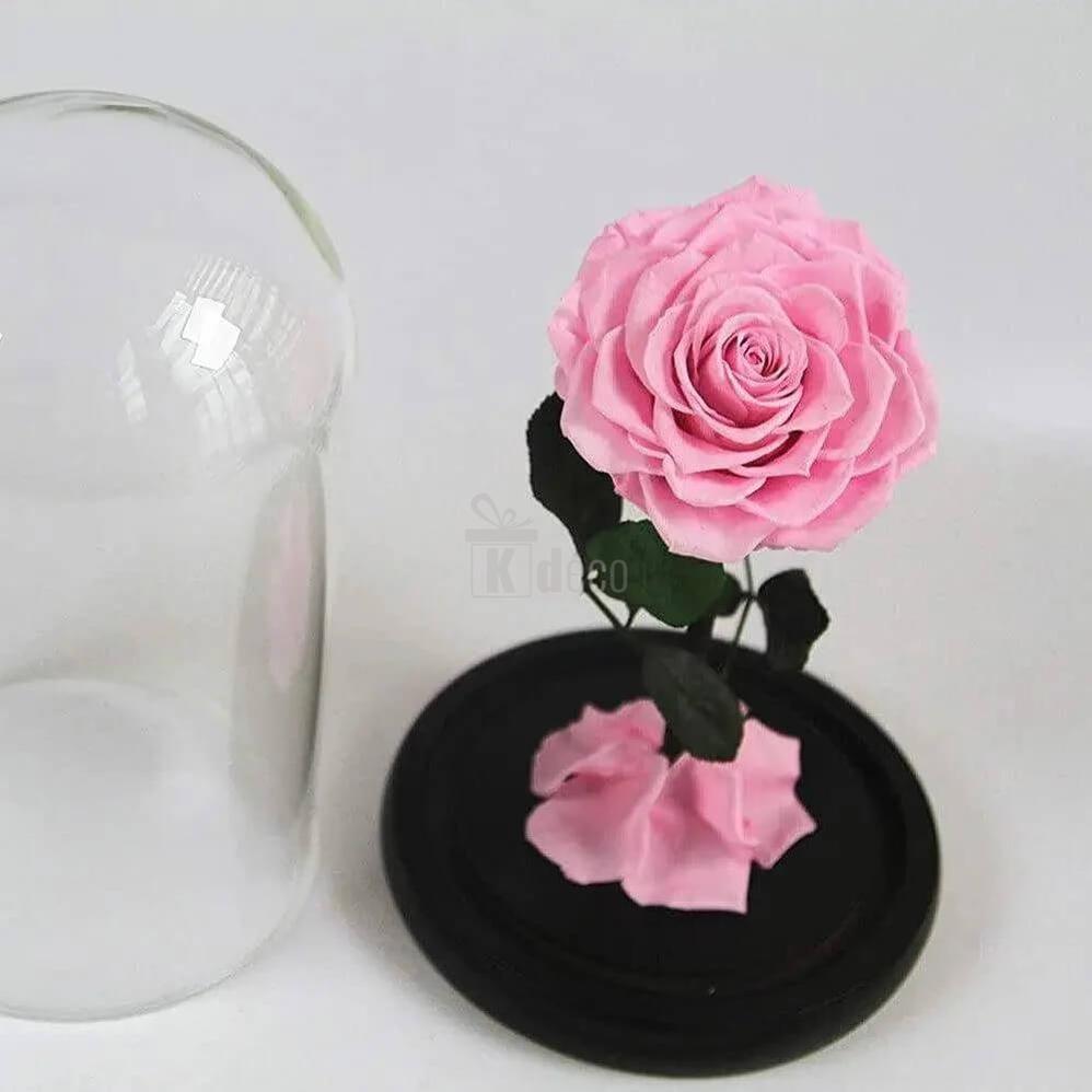Trandafir Criogenat Bella Roz Ø8cm în Cupolă de Sticlă 10x20cm - Cadoul Ideal pentru Femei - Kdeco.ro