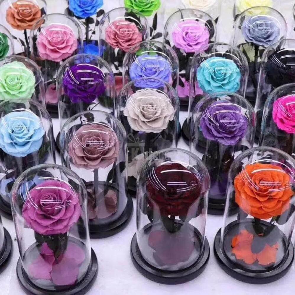 Trandafir Criogenat Bella Roz pentru Mireasă în Cupolă 10x20cm, Ø8cm - Kdeco.ro