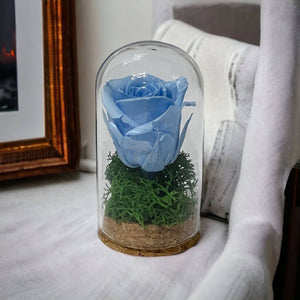 Trandafir Criogenat blue in cupola mica 5x9,5cm (marturie)-Kdeco.ro