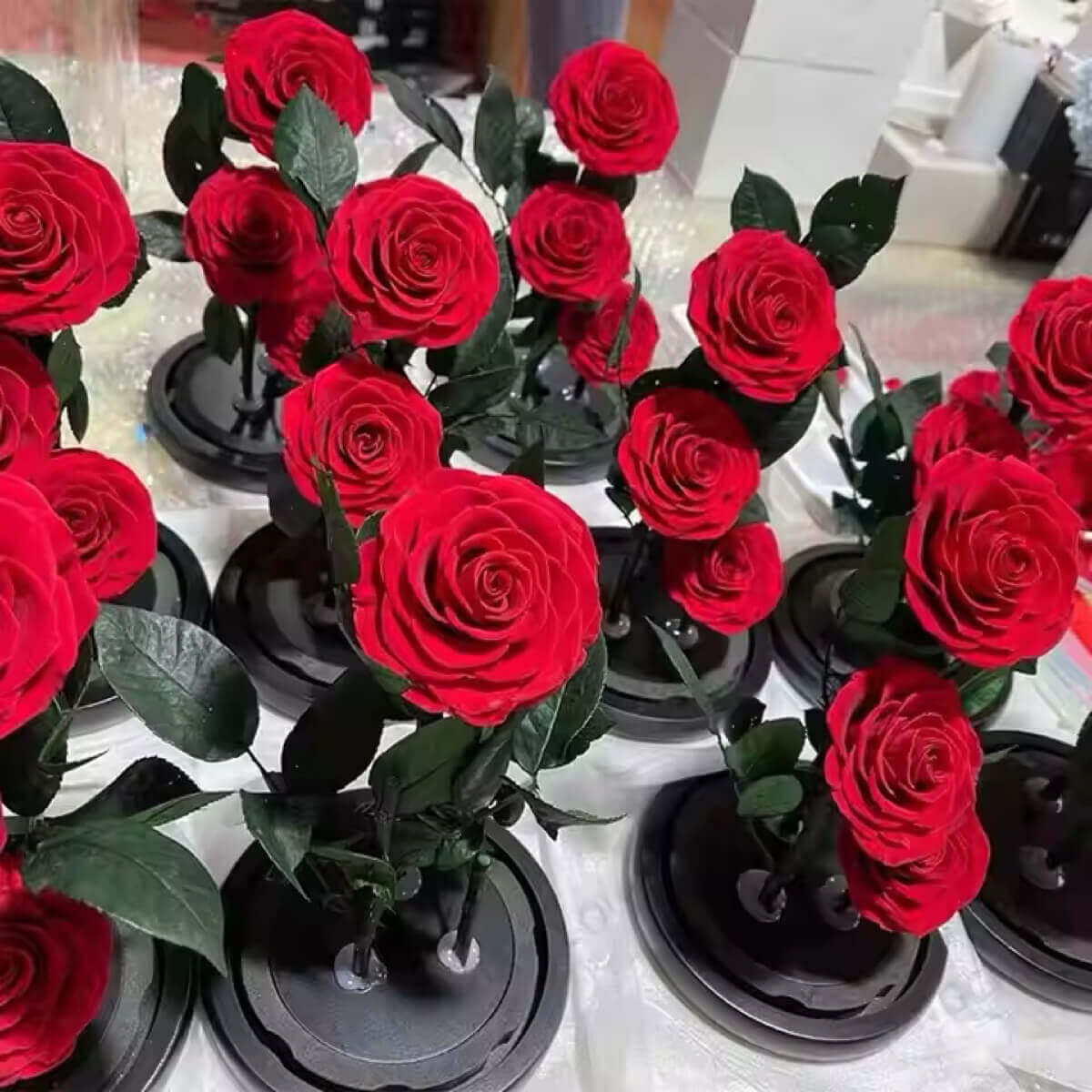 Colecție de trandafiri criogenați roșii Bonita pe suport negru, perfecte pentru cadouri personalizate și aranjamente florale deosebite