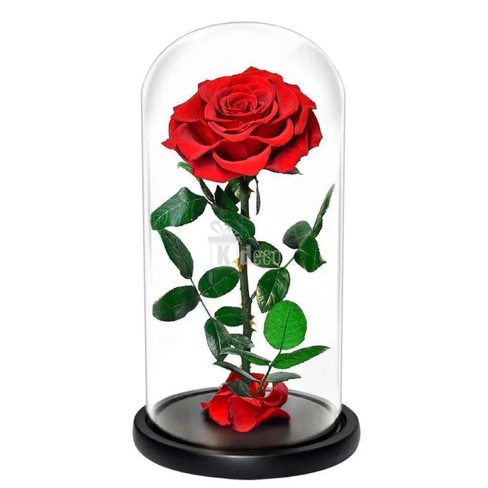 Trandafir Criogenat Bonita Roșu cu Diametru de 9,5 cm în Cupolă Elegantă 12x25 cm - Kdeco.ro