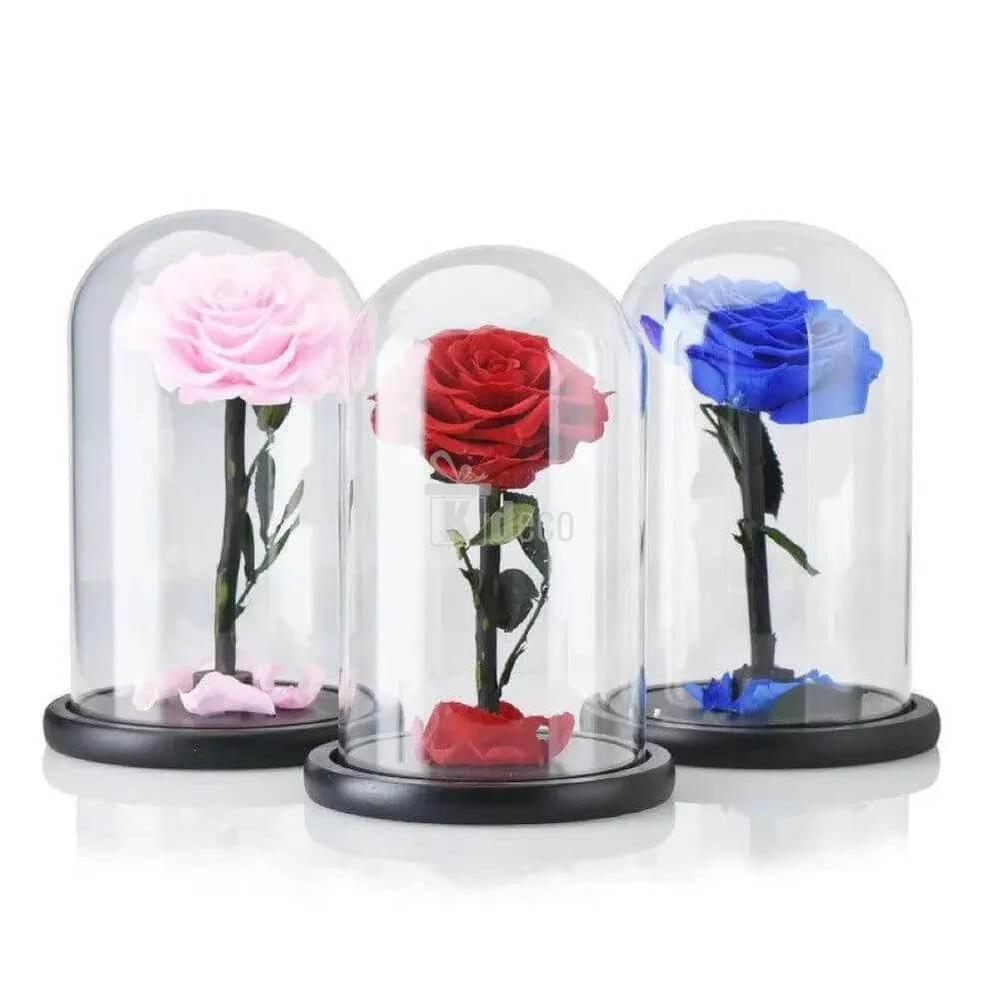 Trandafir Criogenat Bonita Roșu în Cupolă de Sticlă - Cadou Unic 12x25cm - Kdeco.ro