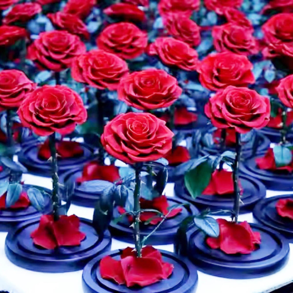 Colecție Trandafiri Criogenați Bonita Roșii pe suport negru, top sales în cadouri personalizate pentru femei, diametru 9,5 cm