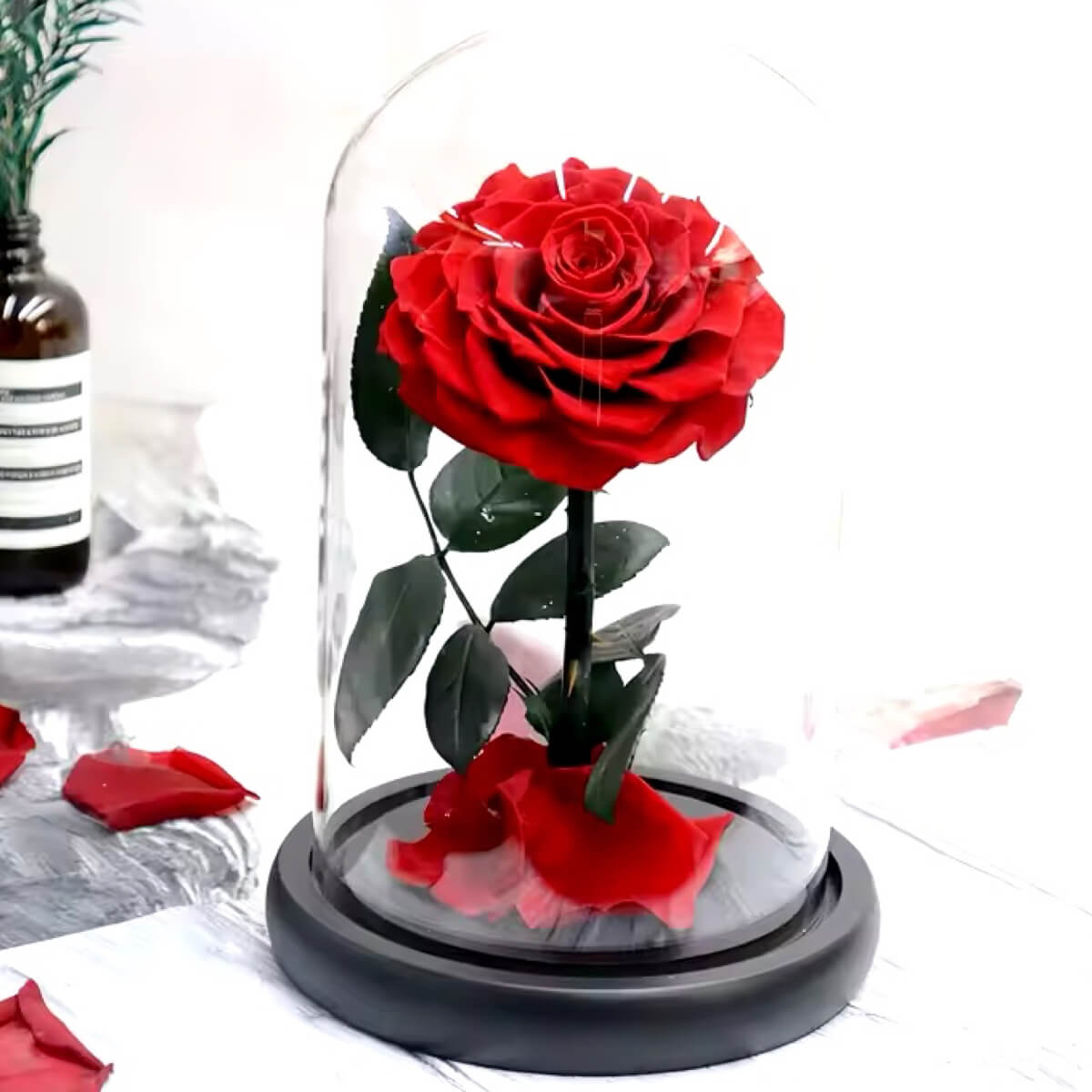 Trandafir Criogenat Bonita Roșu în cupolă de sticlă cu bază neagră, diametru 9,5 cm, ideal cadou personalizat romantic