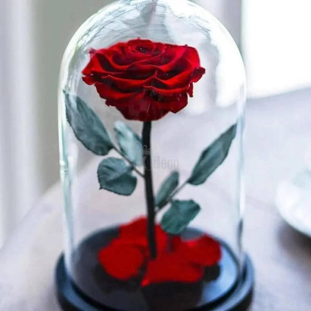 Trandafir Criogenat Bonita Roșu în Cupolă Elegantă Ø9,5cm 15x25cm - Kdeco.ro
