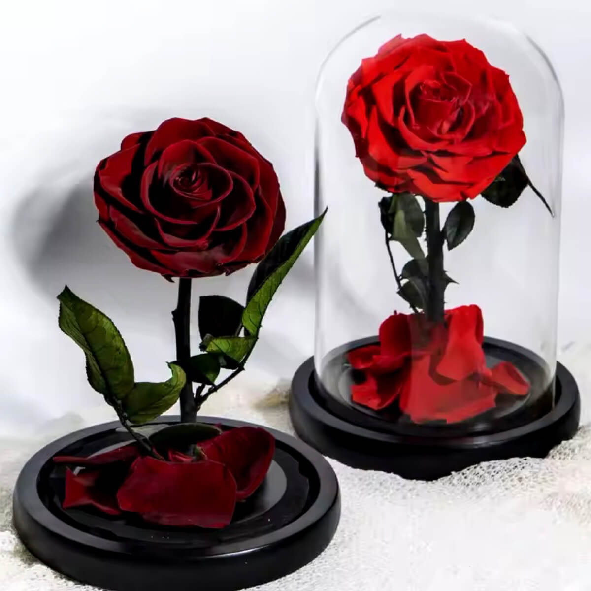 Aranjament floral cu Trandafir Criogenat Bonita Roșu Intens în cupolă de sticlă, decor romantic și cadou memorabil pentru femei.