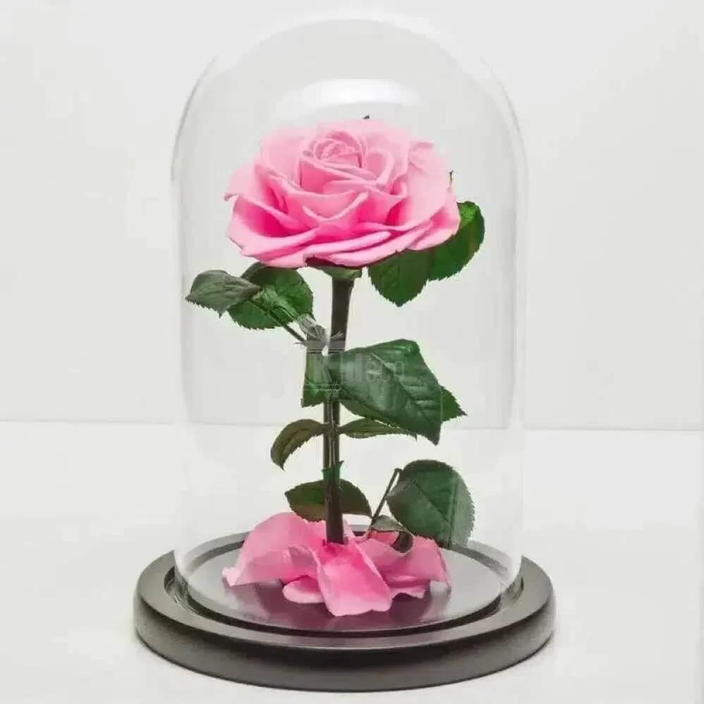 Trandafir Criogenat Bonita roz în cupolă de sticlă Ø9,5cm - Cadoul Ideal pentru Iubirea Ta! - Kdeco.ro
