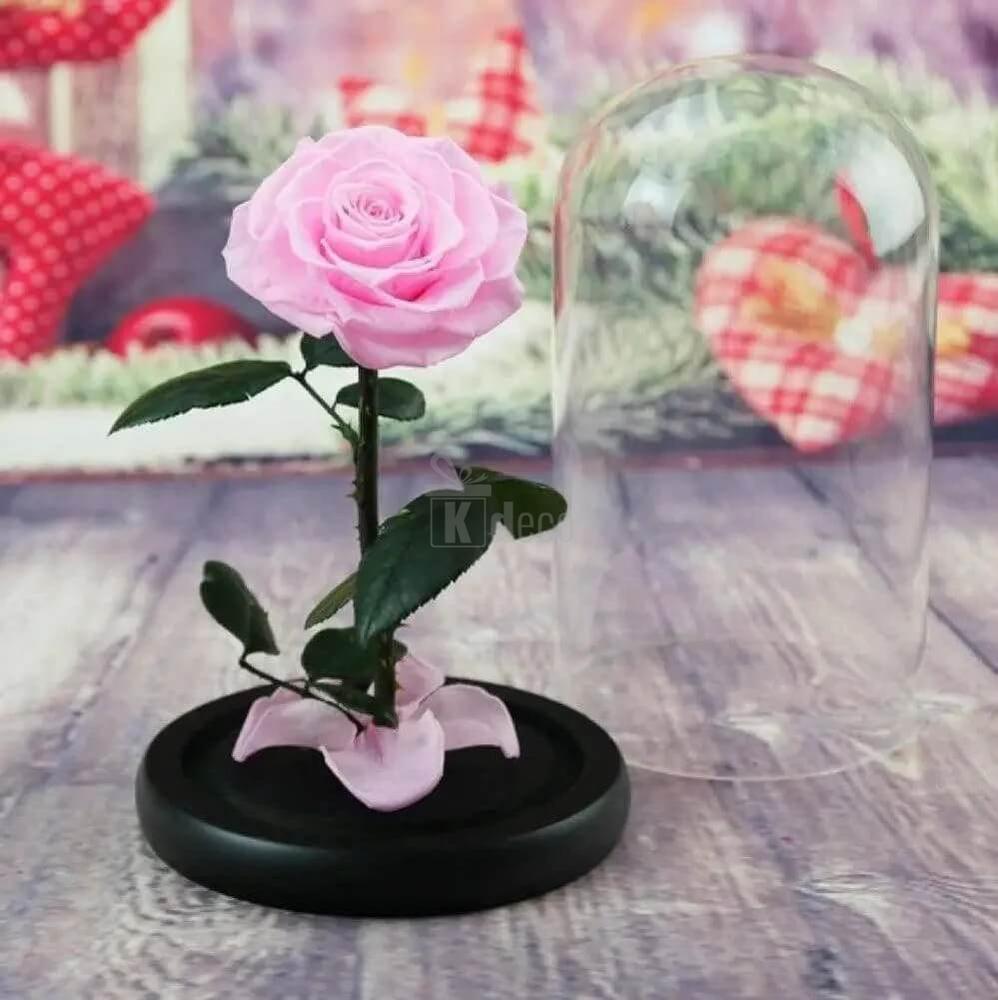 Trandafir Criogenat Bonita Roz în Cupolă Elegantă cu Iluminare LED Ø9,5cm - Kdeco.ro