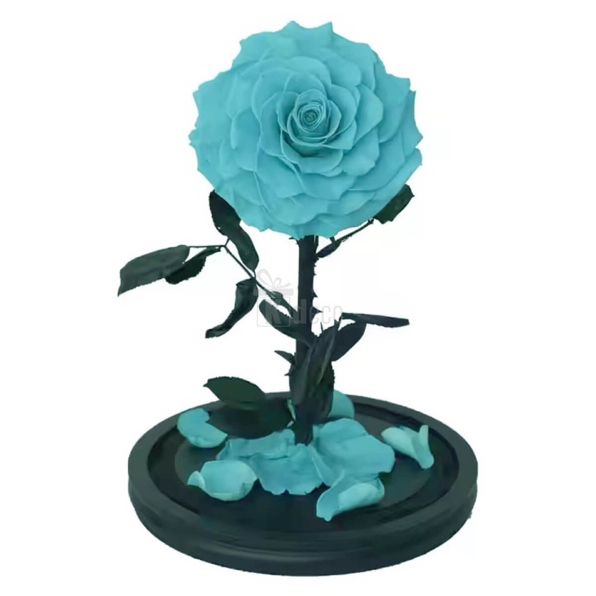 Trandafir Criogenat Bonita Turcoaz în Cupolă de Sticlă cu Mesaj Personalizat - 9,5 cm - Kdeco.ro
