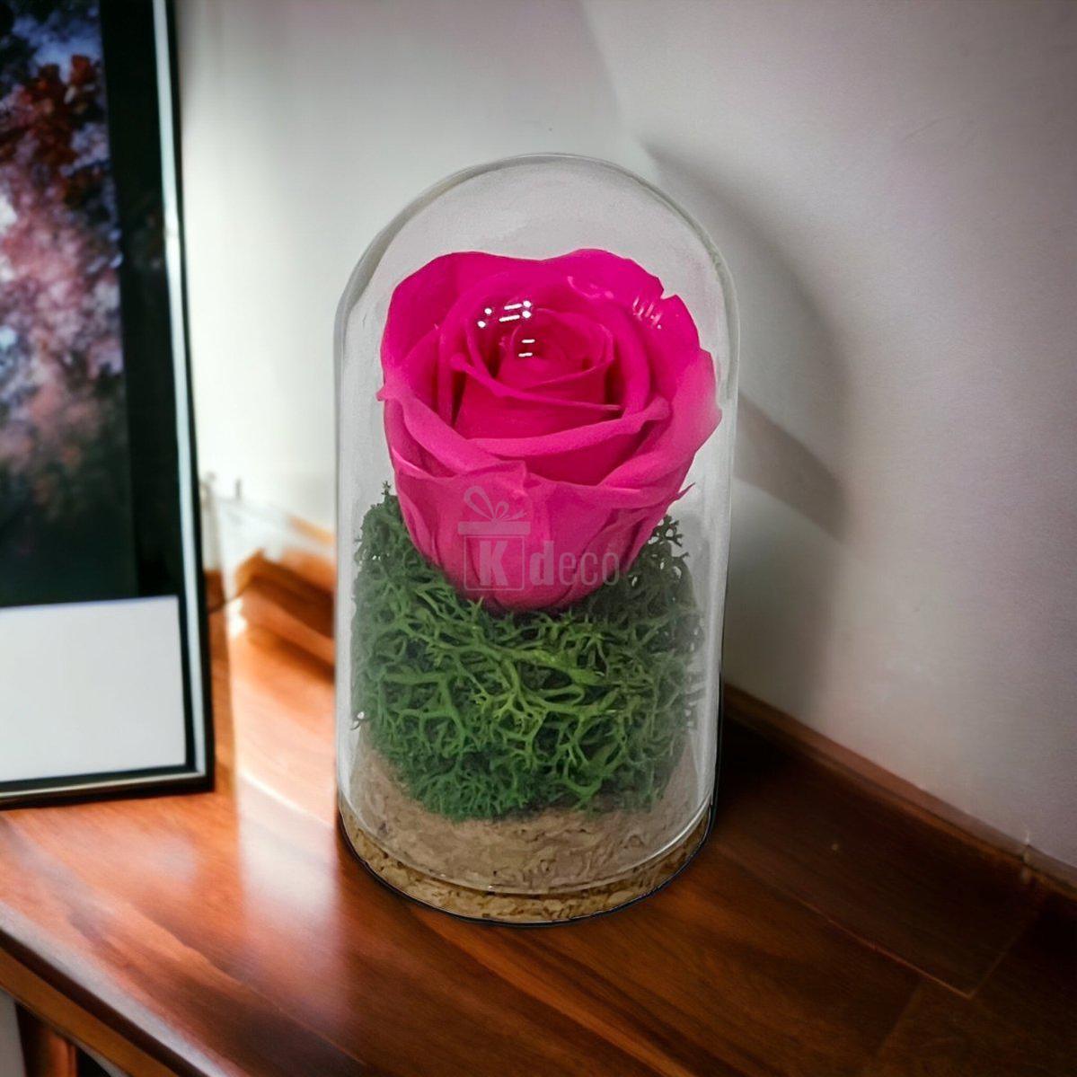 Trandafir Criogenat ciclam in cupola mica 5x9,5cm (marturie)-Kdeco.ro