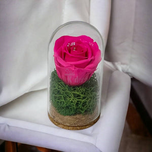 Trandafir Criogenat ciclam in cupola mica 5x9,5cm (marturie)-Kdeco.ro