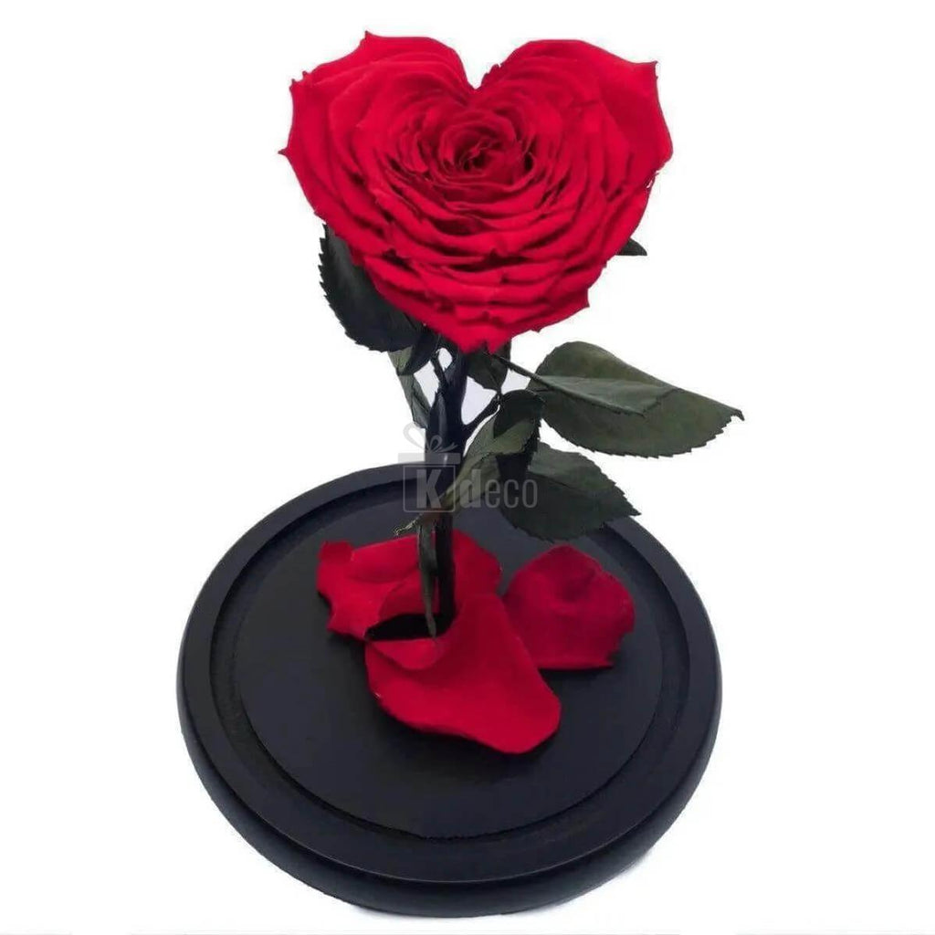 Trandafir Criogenat cu Inimă Roșie în Cupolă de Sticlă - Cadou Elegant Ø9cm, Dimensiuni 15x25cm - Kdeco.ro