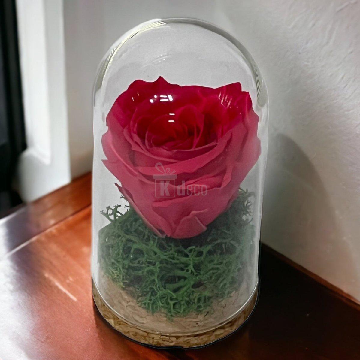 Trandafir Criogenat roz inchis in cupola mica 5x9,5cm (marturie)-Kdeco.ro