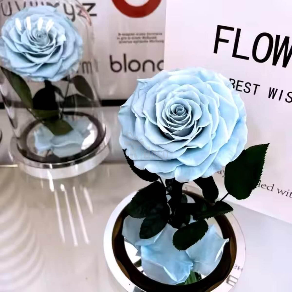Aranjament floral cu Trandafir Criogenat Bonita Bleu în cupolă de sticlă, ideal pentru cadouri speciale și decor romantic de durată.
