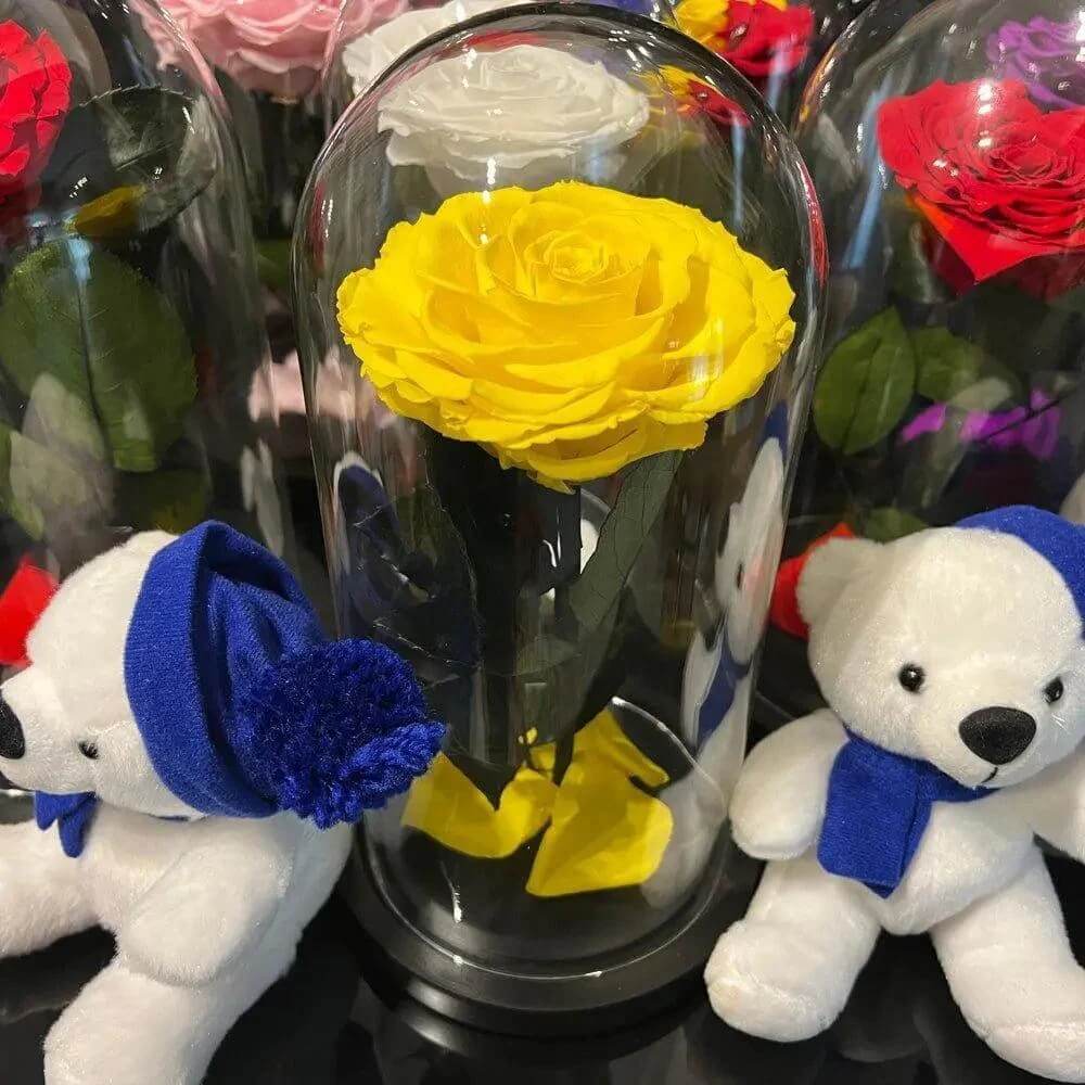 Trandafir Criogenat Galben Bella Ø8cm în Cupola Elegantă 10x20cm - Kdeco.ro