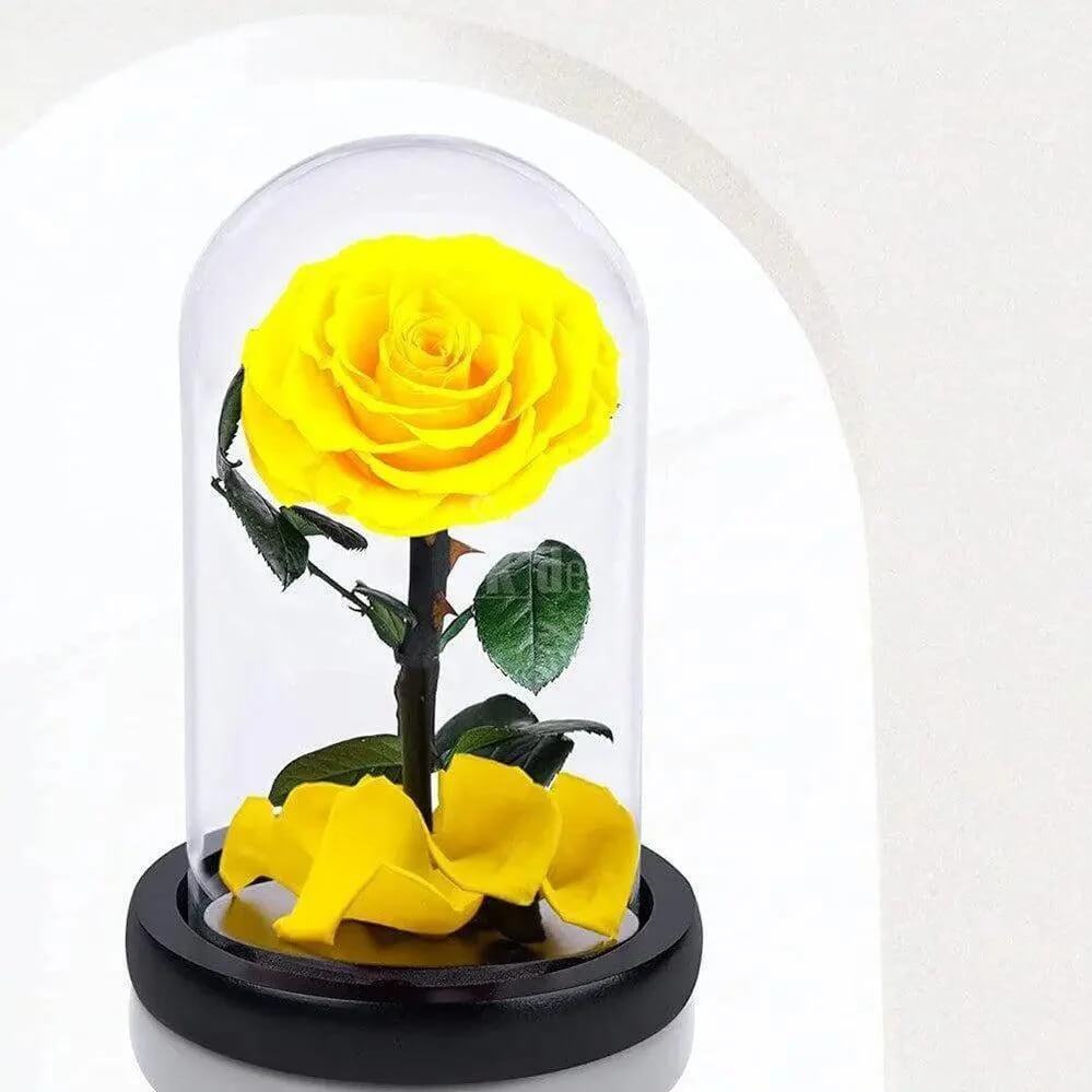 Trandafir Criogenat Galben Bella Ø8cm în Cupola Elegantă 10x20cm - Kdeco.ro