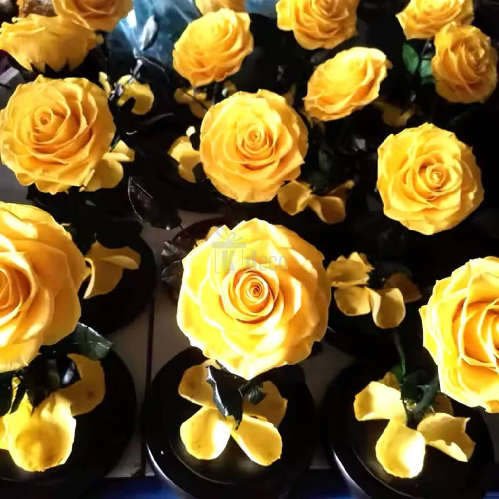 Trandafir Criogenat Galben Bonita - Cadou Elegant cu Mesaj Personalizat în Cupolă de Sticlă - Kdeco.ro