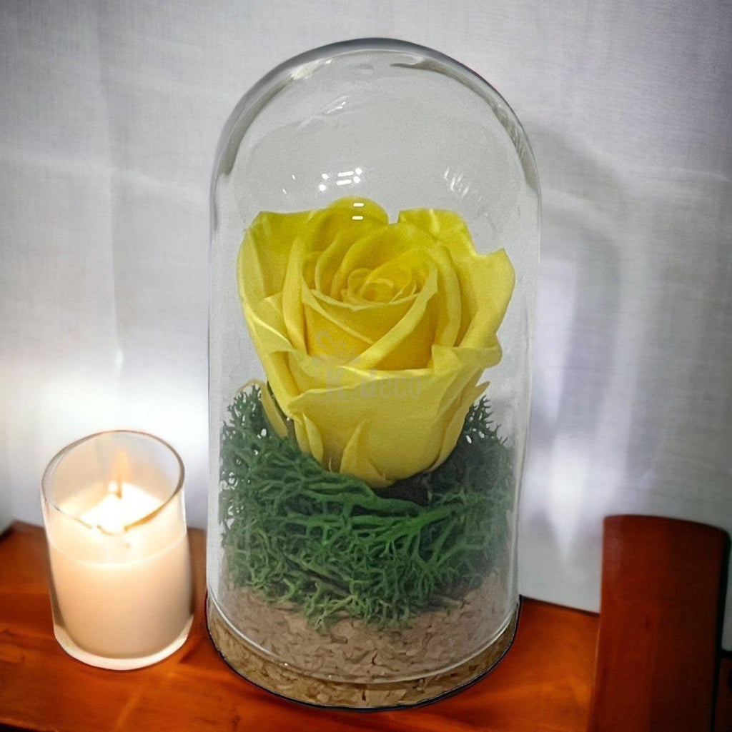 Trandafir Criogenat galben in cupola mica 5x9,5cm (marturie)-Kdeco.ro