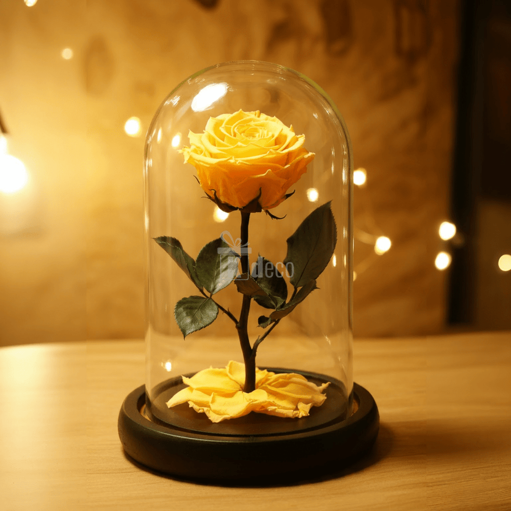 Aranjament floral cu trandafir galben criogenat în cupolă de sticlă, perfect ca decor romantic sau cadou special pentru ocazii festive.