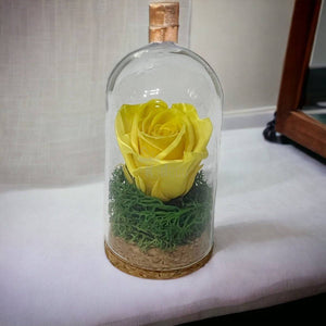Trandafir Criogenat galben in cupola mica 5x9,5cm (marturie)-Kdeco.ro
