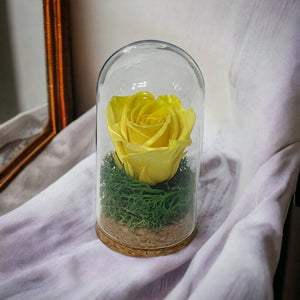 Trandafir Criogenat galben in cupola mica 5x9,5cm (marturie)-Kdeco.ro