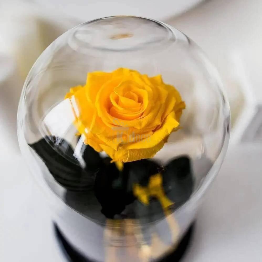 Trandafir Criogenat Galben XL în Cupolă Eleganta 12x25cm - Kdeco.ro