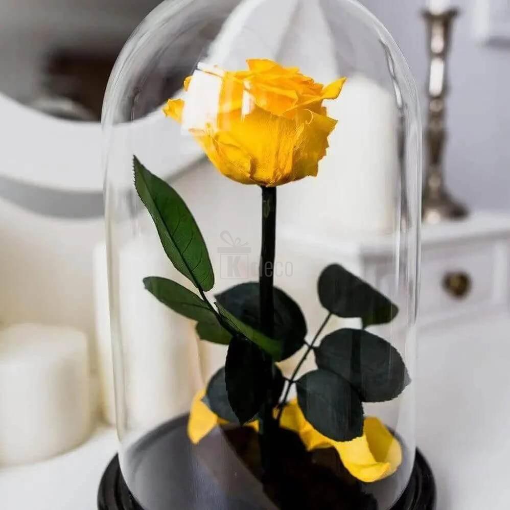 Trandafir Criogenat Galben XL în Cupolă Eleganta 12x25cm - Kdeco.ro