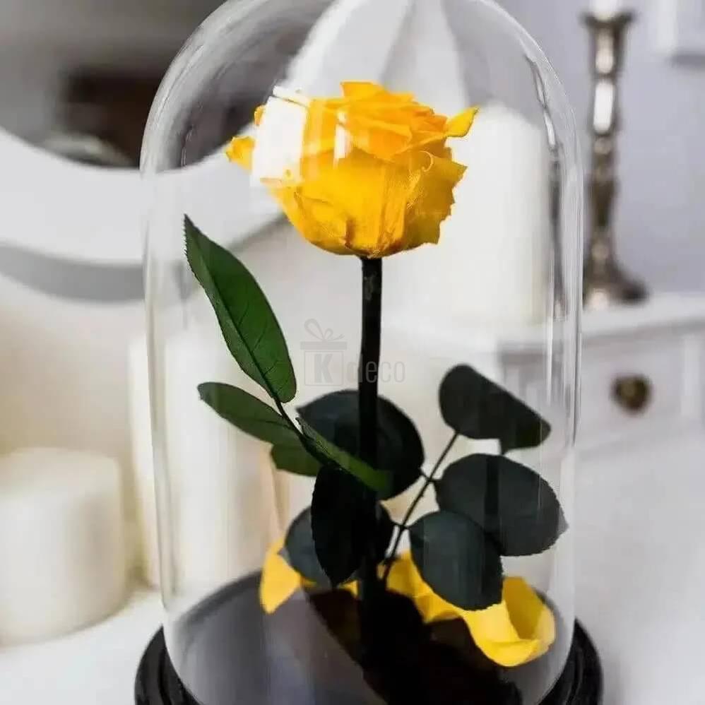 Trandafir Criogenat Galben XL Ø6,5cm în Cupola de Sticlă cu Mesaj Personalizat - Kdeco.ro