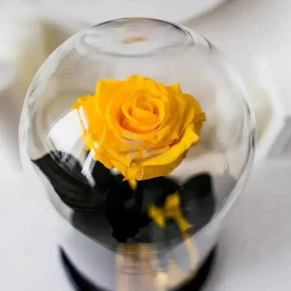 Trandafir Criogenat Galben XL Ø6,5cm în Cupola de Sticlă cu Mesaj Personalizat - Kdeco.ro