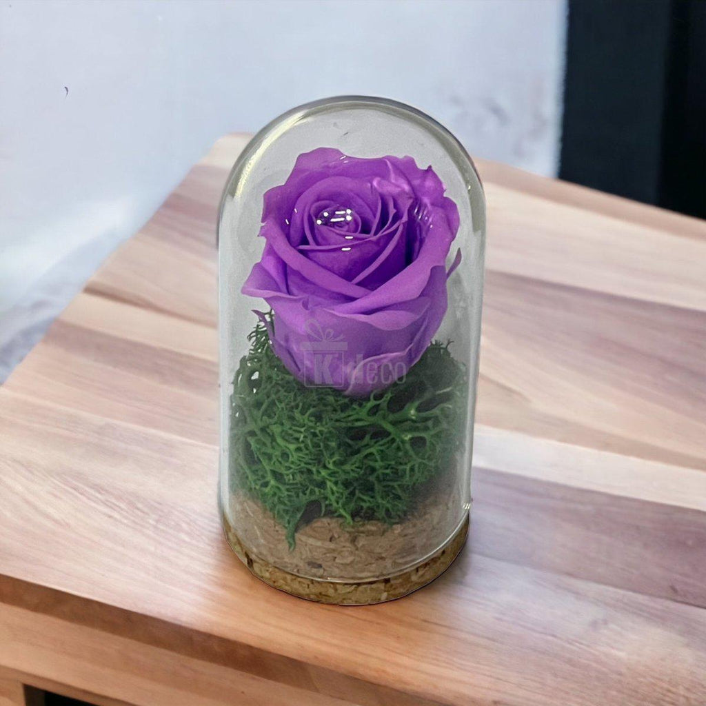 Trandafir Criogenat lila in cupola mica 5x9,5cm (marturie)-Kdeco.ro