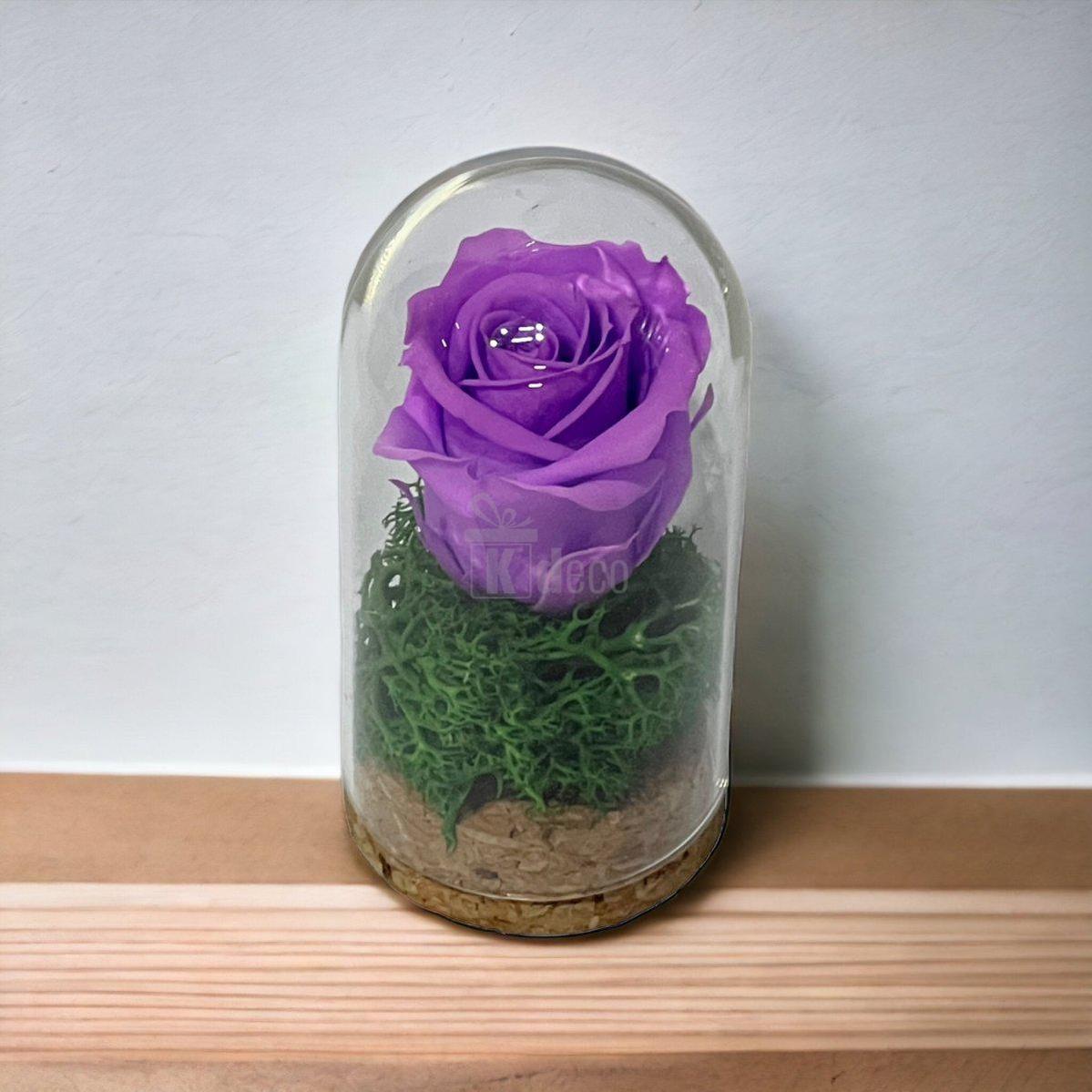 Trandafir Criogenat lila in cupola mica 5x9,5cm (marturie)-Kdeco.ro