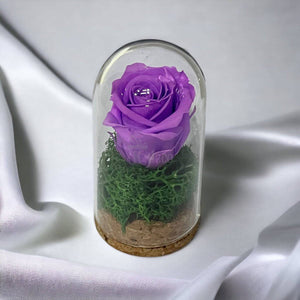 Trandafir Criogenat lila in cupola mica 5x9,5cm (marturie)-Kdeco.ro
