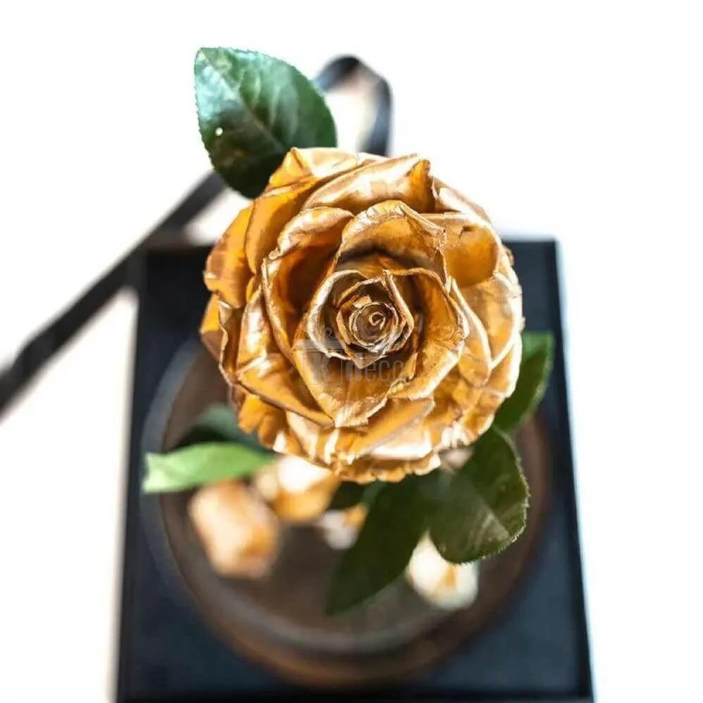Trandafir Criogenat Lux Auriu XL în Cupolă Elegantă 10x20cm - Kdeco.ro