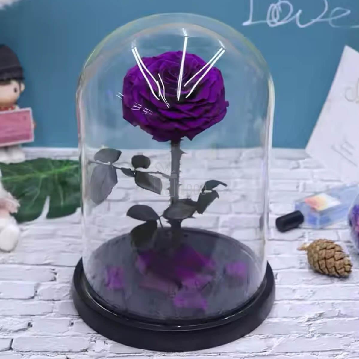 Aranjament floral cu trandafir criogenat mov sub cupolă de sticlă, simbol al iubirii nemuritoare, perfect ca decor sau cadou special pentru ea.